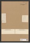 Diatomeae indet. Zeichnungen Sammlung Grunow Nr. 6272 (NHMW-BOT-W0374878)